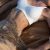 22 Yaşında Çıtır Bursa Görükle Escort Burcu - Görsel1 22 Yaşında Çıtır Bursa Görükle Escort Burcu - Görsel1